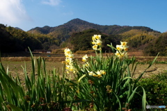 春近し 春近し