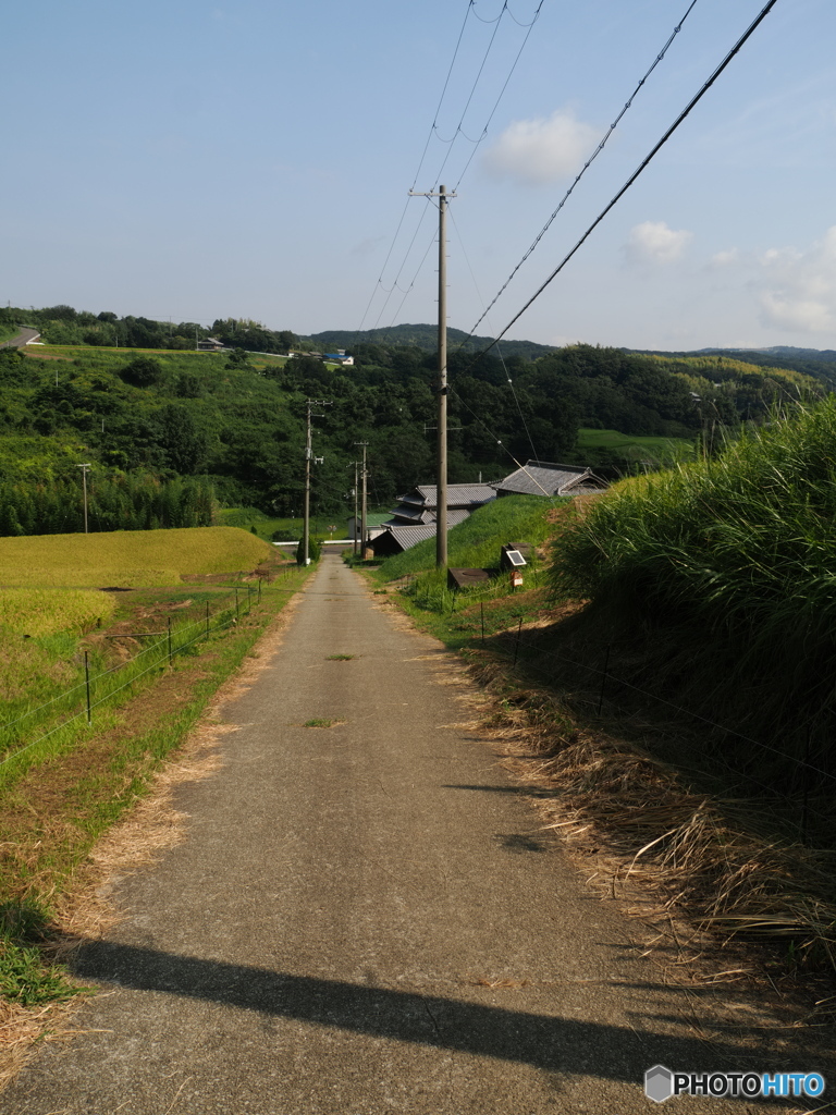 一本道