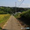一本道