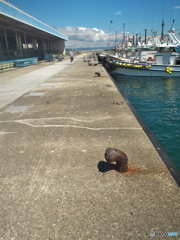 競り待ち 競り待ち