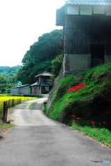 秋の細道