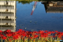 ビル迫る ビル迫る