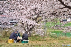 ひっそりと ひっそりと