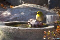 水飲み場で