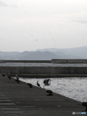 ふんわりと ふんわりと