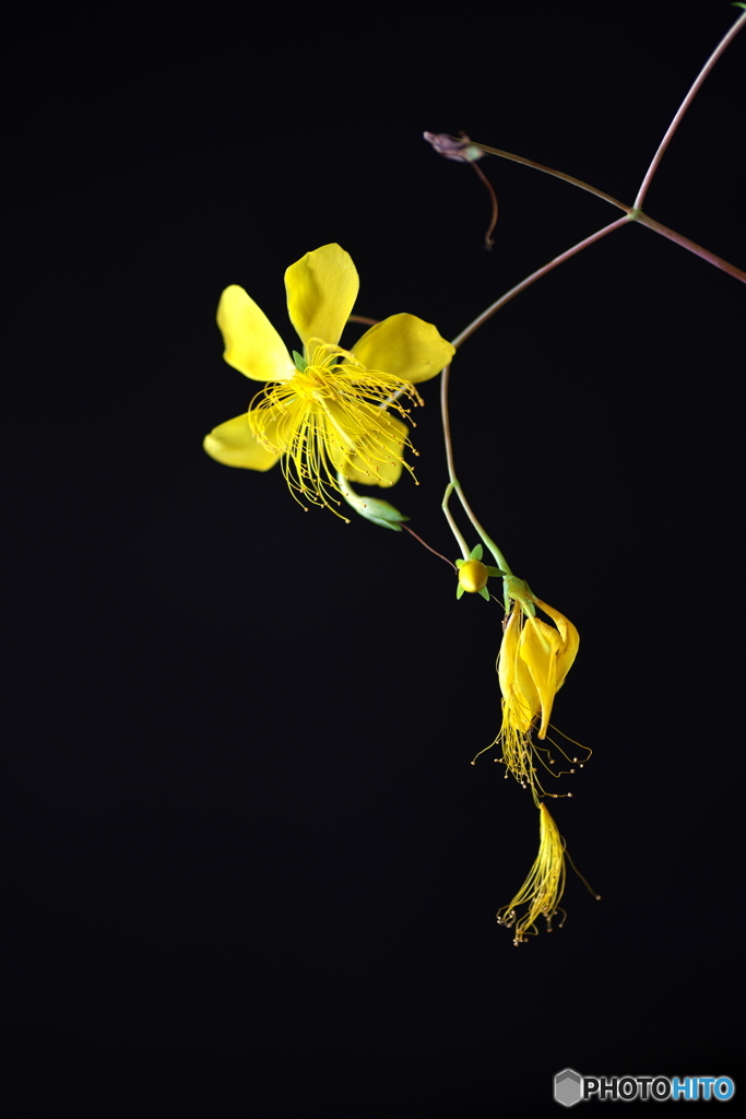 季節は過ぎゆく