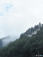 雨あがる 雨あがる