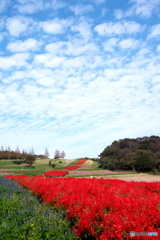 赤いじゅうたんと 赤いじゅうたんと
