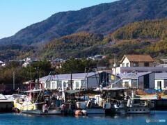島の漁港