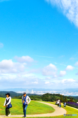空高く