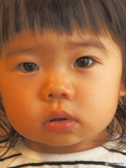 甥子の娘 甥子の娘