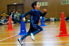 走れ4歳