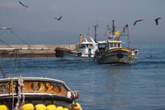 鳶舞う港 鳶舞う港