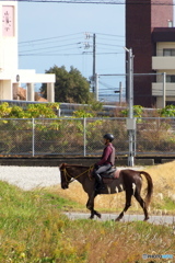 小春日に 小春日に