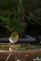 何 何