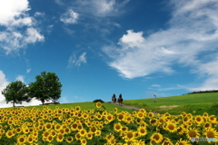 高原の夏