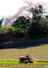 春 春