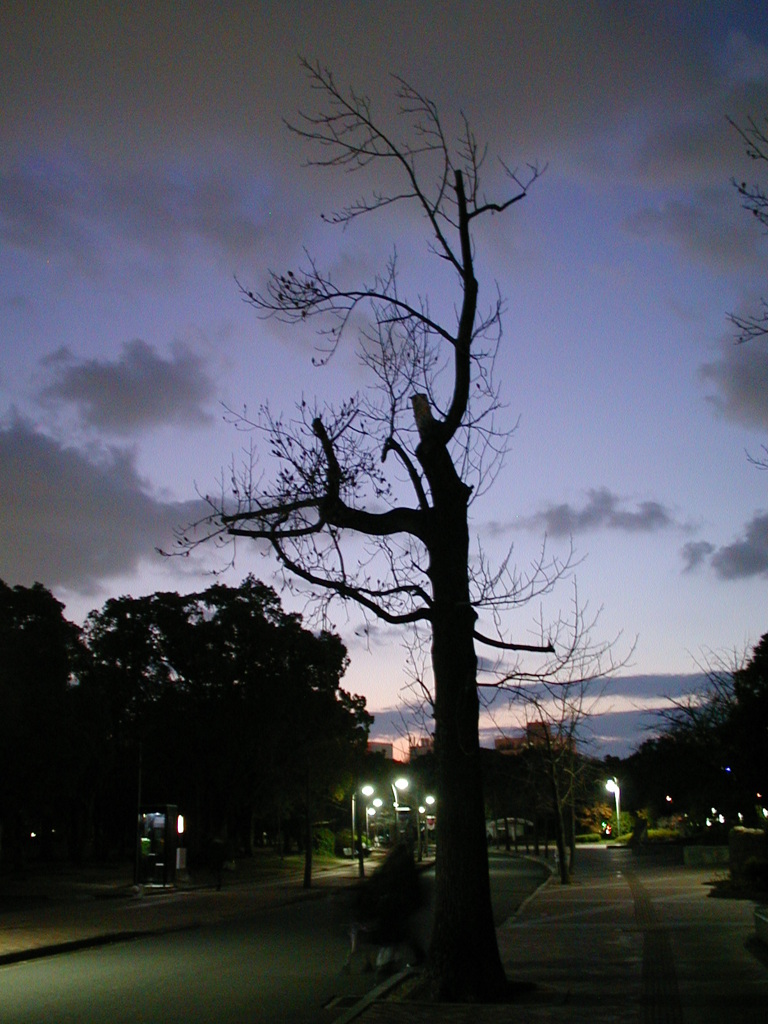 Night shot