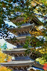 そこら辺の寺