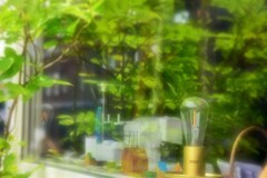 窓