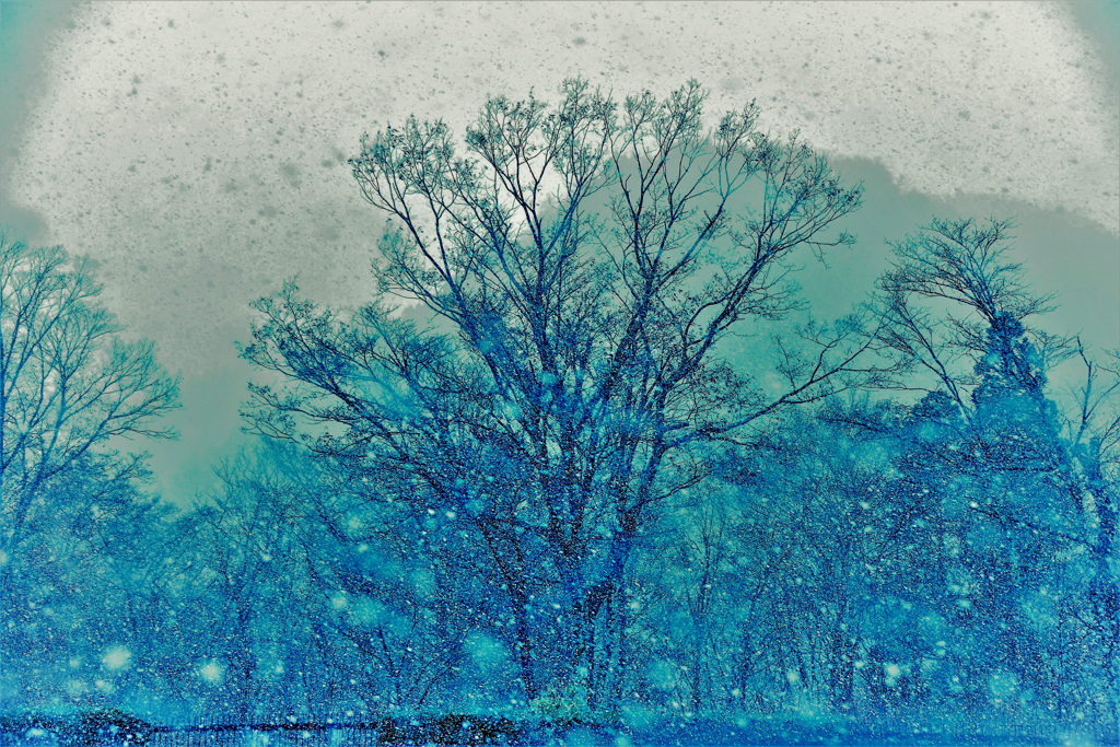 雪模様