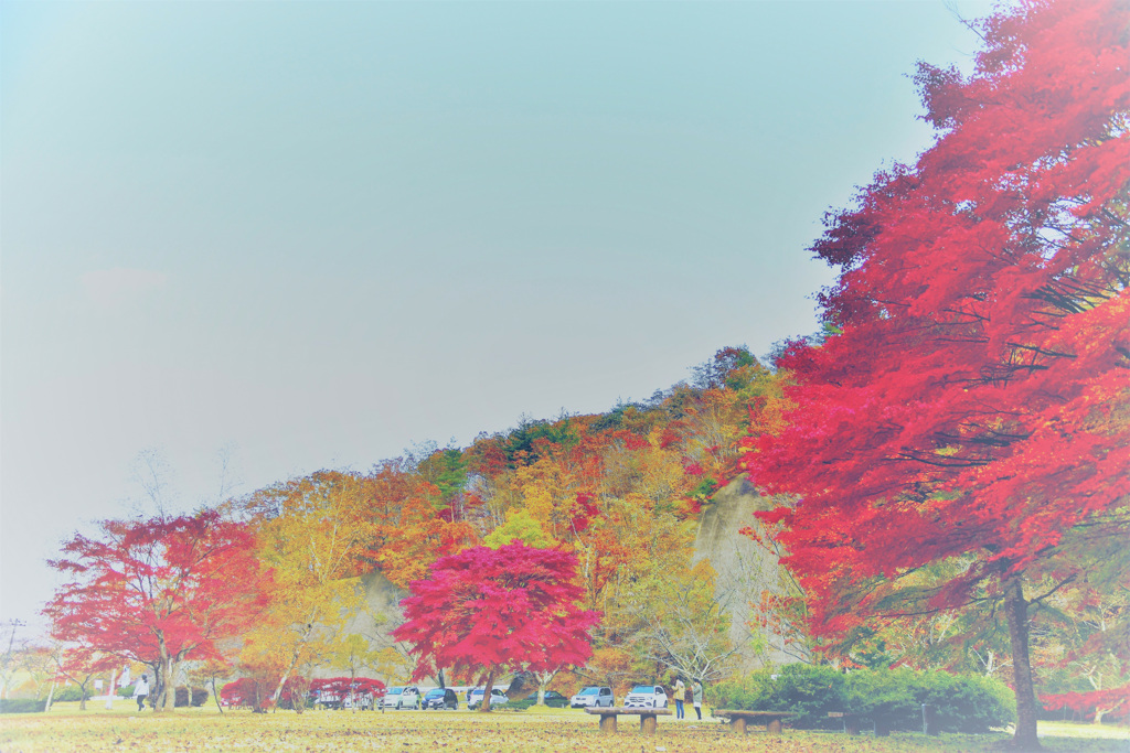 公園の風景！
