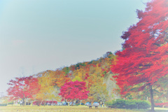 公園の風景！
