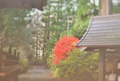 くもり