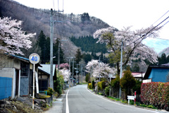 街道の春