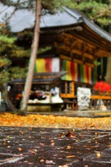 雨上がり