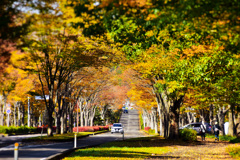 散策するマダム二人