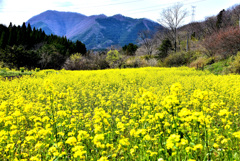 山里！