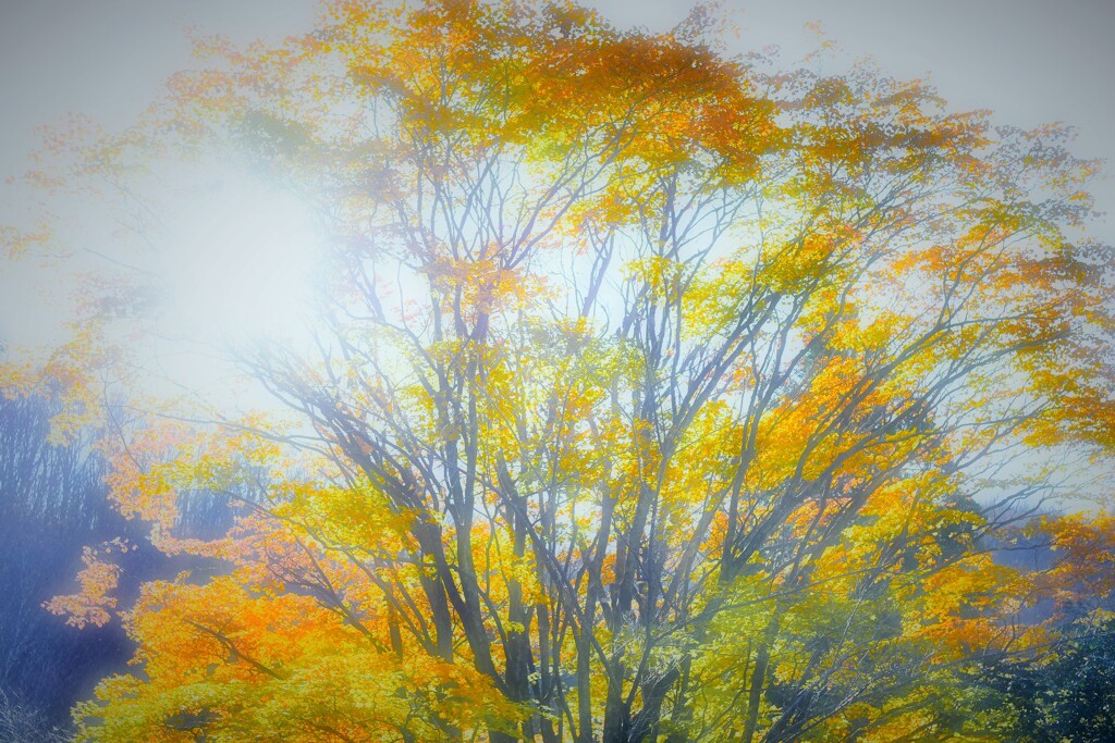 雨上がり