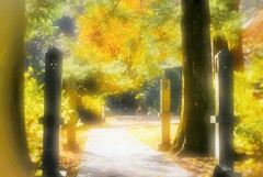 休むひと