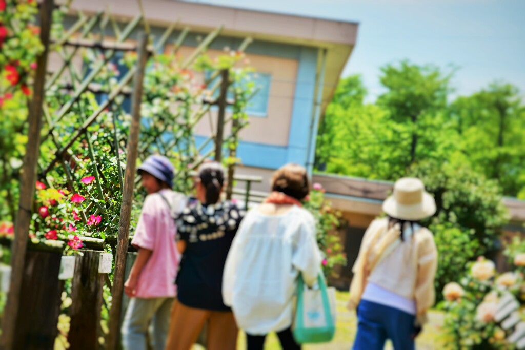 天気の良い日