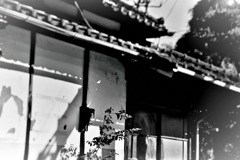 陰影。