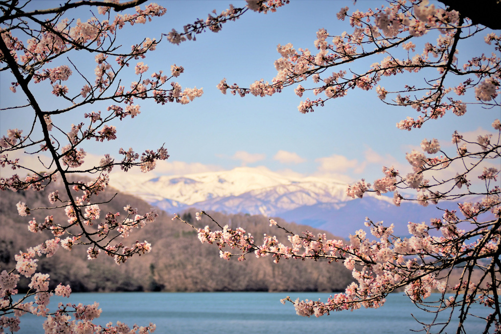 これが富士山なら良かったのに