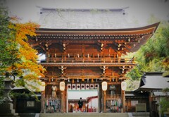 参ってきました