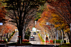 初冬の風景