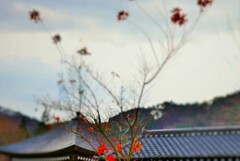 名残