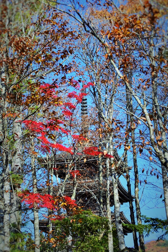 そこら辺の寺