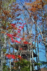そこら辺の寺