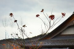 名残