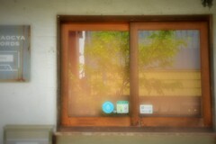 窓