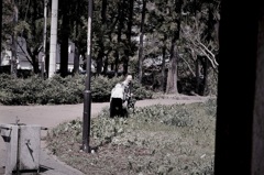 あら、見てたのね