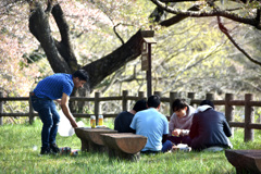 ささやかな宴