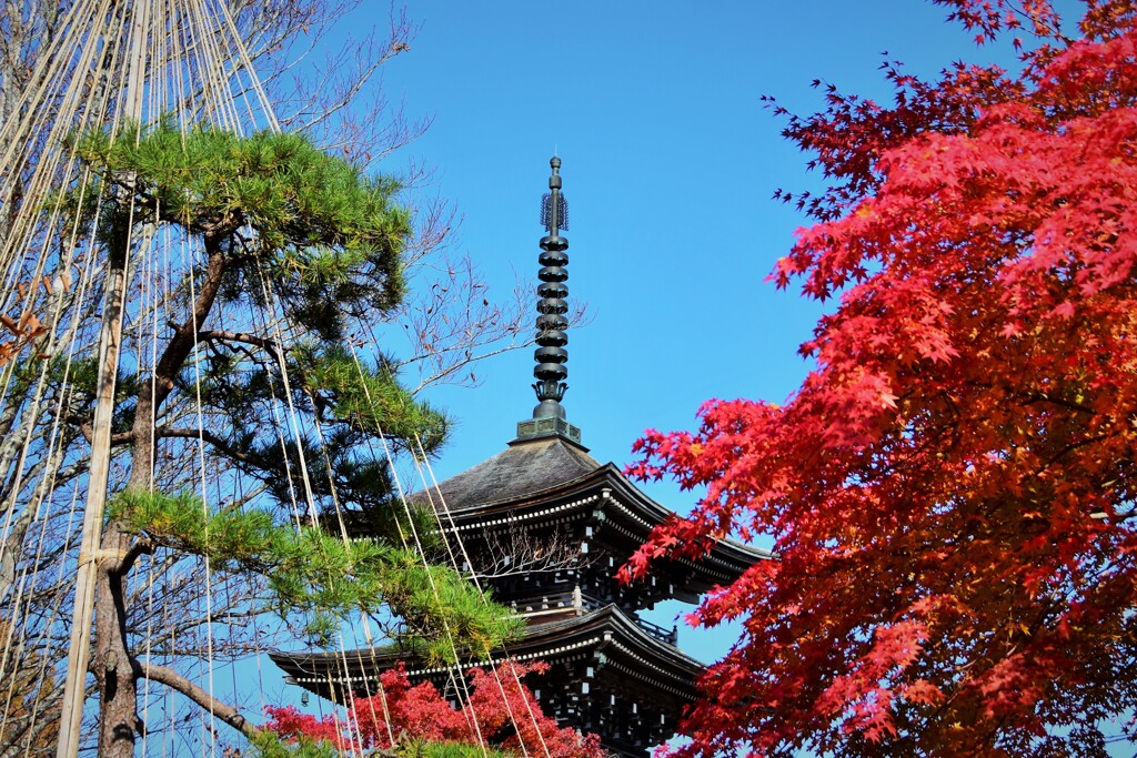 冬迎えの寺