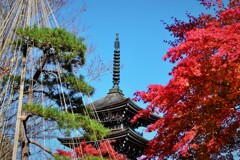 冬迎えの寺
