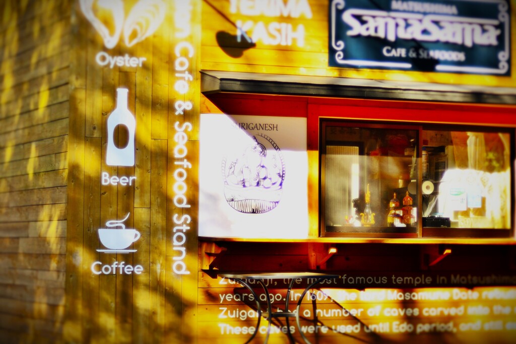 陽のあたるハウス