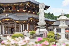 見たまんま